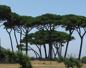 IL MARE E LA VAL DI CORNIA